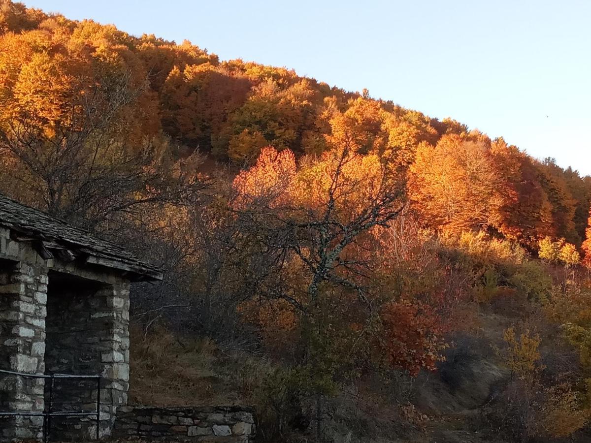 Guesthouse Kontogianni - Materka Nimfaíon المظهر الخارجي الصورة